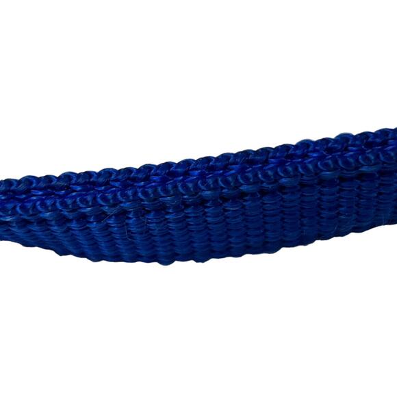Blue Dog Leash 60” x 1” Heavy Duty Nylon Walking Training Pets - Picture 8 of 9